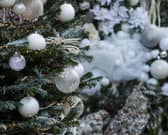 Christmas tree picture: JPI Media/Lisa Ferguson
