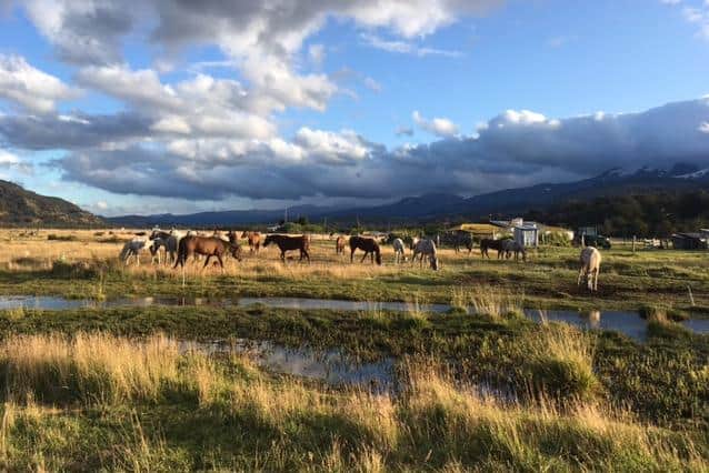 The horses take a break during the gruelling Goucho Derby through Patagonia.