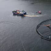 Fish farming is worth around £885 million to the Scottish economy and ministers have set out ambitions to expand the industry, with a target to produce between 300,000 and 400,000 tonnes annually by 2030. Picture: Richard Johnson/Getty Images