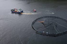 Fish farming is worth around £885 million to the Scottish economy and ministers have set out ambitions to expand the industry, with a target to produce between 300,000 and 400,000 tonnes annually by 2030. Picture: Richard Johnson/Getty Images