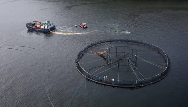 Fish farming is worth around £885 million to the Scottish economy and ministers have set out ambitions to expand the industry, with a target to produce between 300,000 and 400,000 tonnes annually by 2030. Picture: Richard Johnson/Getty Images