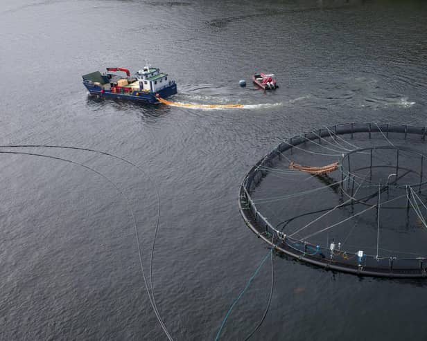 Fish farming is worth around £885 million to the Scottish economy and ministers have set out ambitions to expand the industry, with a target to produce between 300,000 and 400,000 tonnes annually by 2030. Picture: Richard Johnson/Getty Images