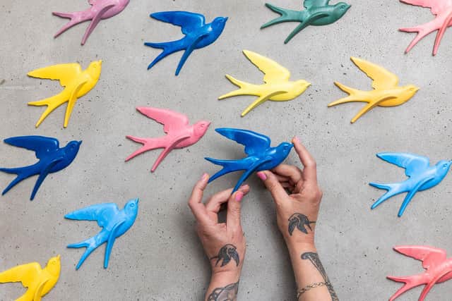 Lucky Swallows