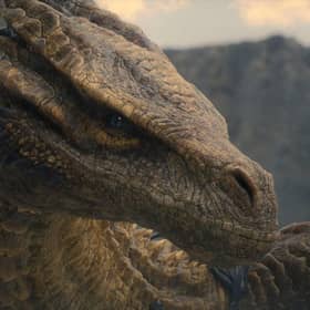 Syrax is Rhaenyra Targaryen's (Milly Alcock) dragon in House of the Dragon, HBO