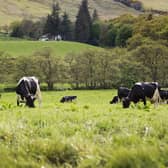 NFU Scotland’s president, Martin Kennedy, outlines how important the world-renowned food and drink sector is to the Scottish economy.