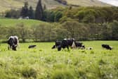 NFU Scotland’s president, Martin Kennedy, outlines how important the world-renowned food and drink sector is to the Scottish economy.