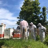 Honeybee workshop at Cambo Gardens in Fife.