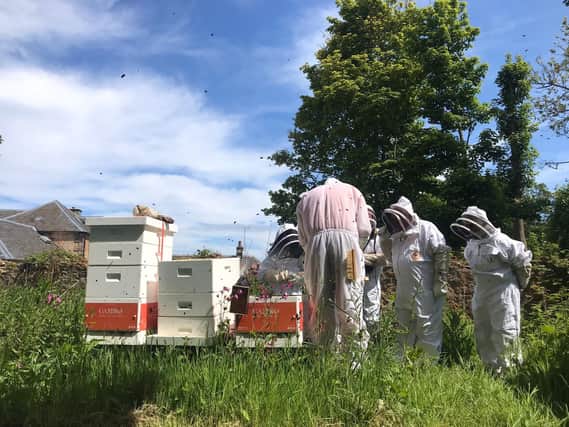 Honeybee workshop at Cambo Gardens in Fife.