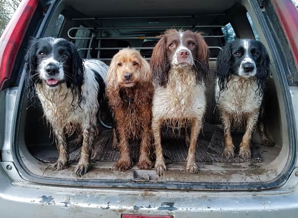 It's not only our dogs that sometimes get mucky - their possessions can too.