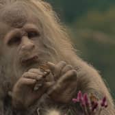 Jesse Eisenberg in Sasquatch Sunset