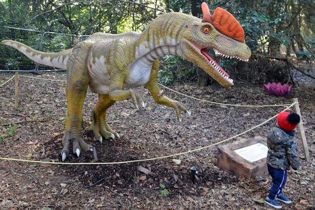 Dinosaur fans posed for pictures with their favourites