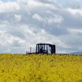 Farmers are not climate villains. Instead, they need the Scottish Government to incentivise farming in a more sustainable way (Picture: Christopher Furlong/Getty Images)