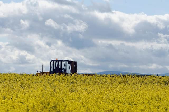 Farmers are not climate villains. Instead, they need the Scottish Government to incentivise farming in a more sustainable way (Picture: Christopher Furlong/Getty Images)