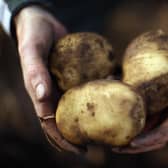 The potato sector relies heavily on scientific services