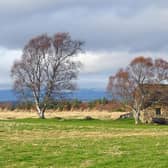 Archaeologists are working to the east of Old Leanach Cottage on Culloden Battlefield in the area where the government lines are known to have gathered on the day of the battle. PIC: Julian Paren/geograph.org.