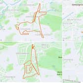 An enigmatic runner has spent his lockdown months running routes along Edinburgh’s streets that map the outlines of extraordinary animals on the exercise-tracking app, Strava.