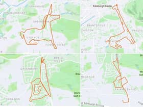 An enigmatic runner has spent his lockdown months running routes along Edinburgh’s streets that map the outlines of extraordinary animals on the exercise-tracking app, Strava.