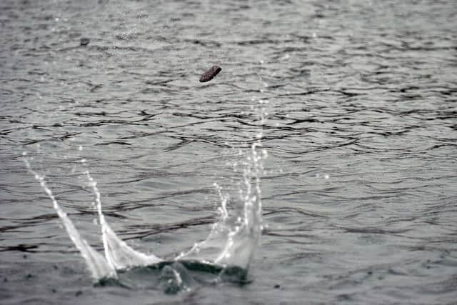 The perfect skim sees the stone jump across the water

 Picture by Jane Barlow