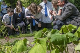 Dr Emma Bush and Raoul Curtis-Machin engaging with school pupils on the potential for using nature based solutions to benefit urban environments (Pic: RBGE)