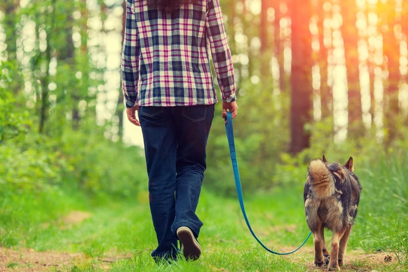 Be seen and be heard as the owner - so as to make everyone aware that the dog is yours and you have a constant eye on it, to deter any dognappers.