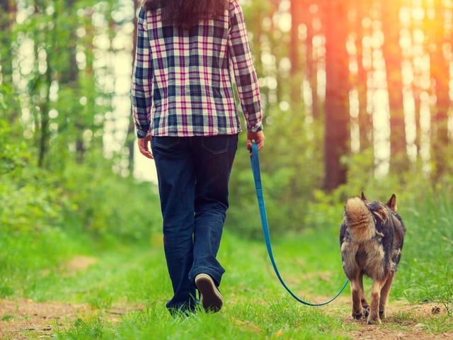 Be seen and be heard as the owner - so as to make everyone aware that the dog is yours and you have a constant eye on it, to deter any dognappers.