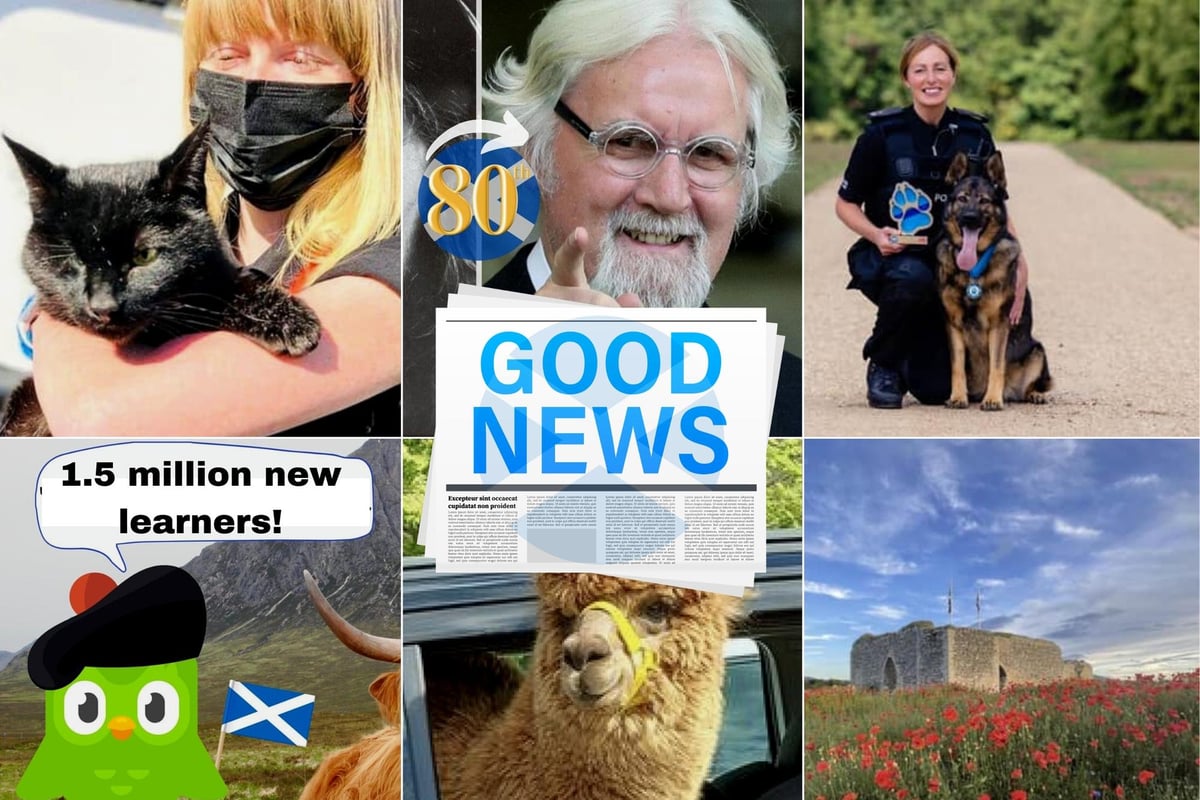 Here are 25 of the most wholesome Scottish news stories in 2022 you may have missed