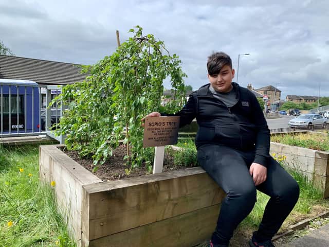 Giorgi Kakava, 13, with the memorial tree for his late mother, has been told he can remain in Scotland after a long battle with the Home Office. PIC: Church of Scotland.