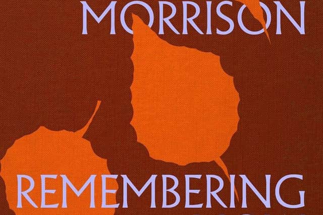Van Morrison 'Remembering Now' album sleeve