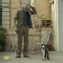 Steve Coogan as Tom Michell in The Penguin Lessons. Picture: Andrea Resmini/Lionsgate