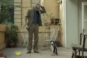 Steve Coogan as Tom Michell in The Penguin Lessons. Picture: Andrea Resmini/Lionsgate
