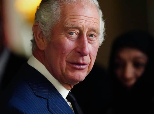 King Charles should try to use his platform to encourage action on climate change (Picture: Victoria Jones/WPA pool/Getty Images)