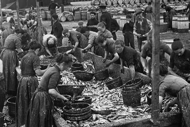 Herring lasses clean and salt the Silver Darlings within minutes of them being landed