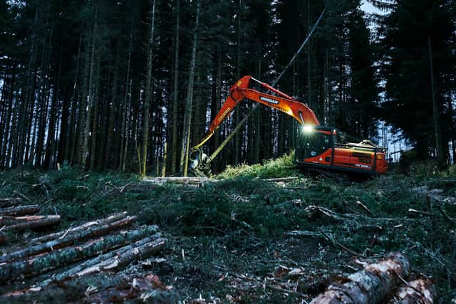 A survey by Forestry and Land Scotland has found high support for planting more commercial forests to help fight climate change and reduce imports of timber for construction