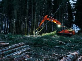 A survey by Forestry and Land Scotland has found high support for planting more commercial forests to help fight climate change and reduce imports of timber for construction