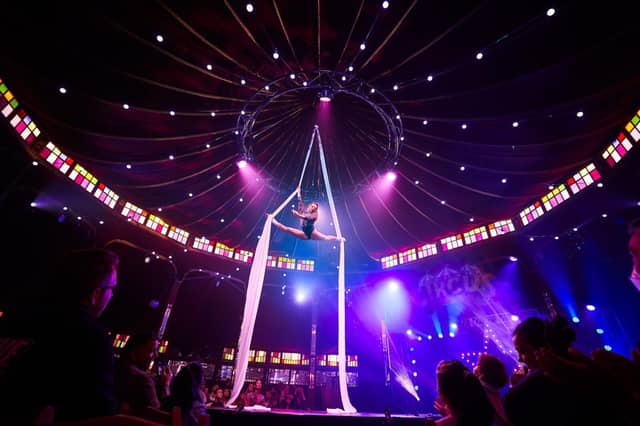 Circus The Show Silks