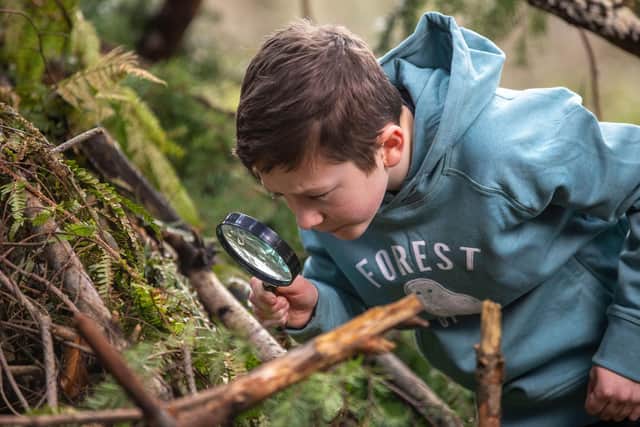 Forest Holidays launches Ugly Bug Hunts in Scotland to encourage children to spend more time in nature.