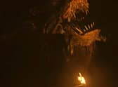 Dragon will fight dragon in House of the Dragon (HBO)