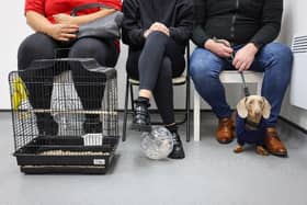 Pet shop business Jollyes has launched an innovative programme that will encourage candidates for roles to bring their pets to interview.