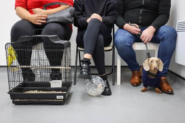 Pet shop business Jollyes has launched an innovative programme that will encourage candidates for roles to bring their pets to interview.
