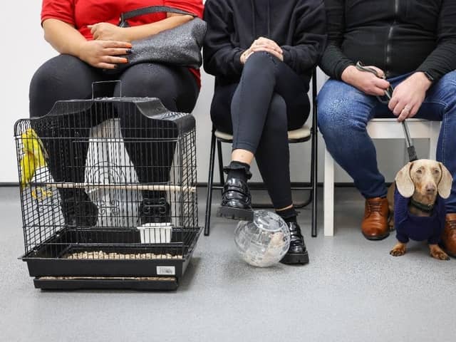 Pet shop business Jollyes has launched an innovative programme that will encourage candidates for roles to bring their pets to interview.
