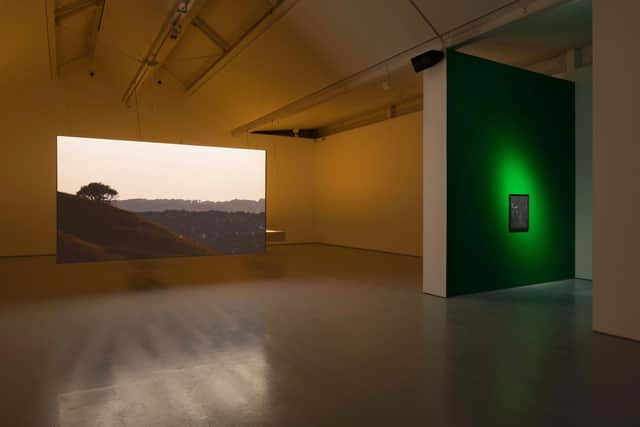 Installation shot of the Matthew Arthur Williams at DCA PIC: Ruth Clark