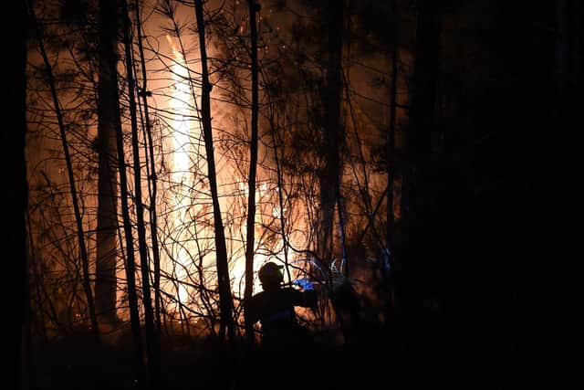 Firefighters work to extinguish a wildfire near Besseges, southern France (Picture: Sylvain Thomas/AFP via Getty Images)