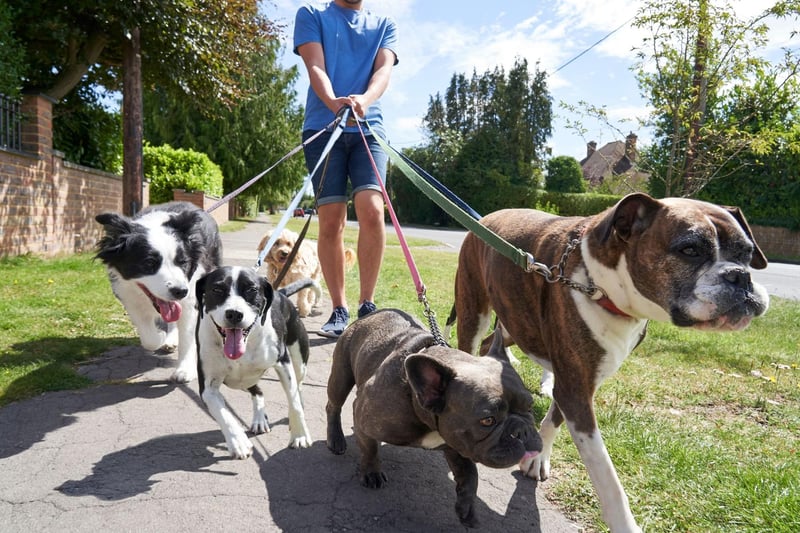 Paying for someone to walk your dog can be a costly expense, averaging £11.25 per walk, or £585 per year, should they get one a week. To completely cut this cost, speak to your pet-owning friends and neighbours, and ask if they’d like to from a rotating dog walking service. You could also run a similar service for pet sitting, which is perfect for when you want to go on holiday. With the average boarding kennel costing £120 for a week – this takes the total yearly saving to £705, including the saving of pet-walking.
