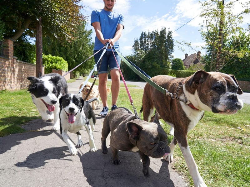 Paying for someone to walk your dog can be a costly expense, averaging £11.25 per walk, or £585 per year, should they get one a week. To completely cut this cost, speak to your pet-owning friends and neighbours, and ask if they’d like to from a rotating dog walking service. You could also run a similar service for pet sitting, which is perfect for when you want to go on holiday. With the average boarding kennel costing £120 for a week – this takes the total yearly saving to £705, including the saving of pet-walking.