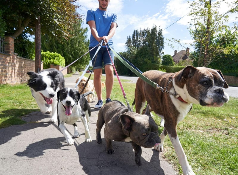 Paying for someone to walk your dog can be a costly expense, averaging £11.25 per walk, or £585 per year, should they get one a week. To completely cut this cost, speak to your pet-owning friends and neighbours, and ask if they’d like to from a rotating dog walking service. You could also run a similar service for pet sitting, which is perfect for when you want to go on holiday. With the average boarding kennel costing £120 for a week – this takes the total yearly saving to £705, including the saving of pet-walking.