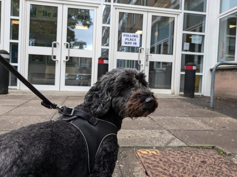 Archie, Glasgow North, Cleveden Secondary School