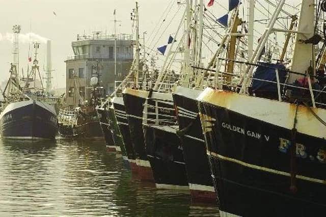 Fishing industry leaders have called for greater government action to allow the sector to thrive