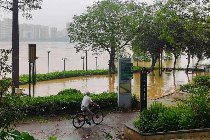 A cyclist peddles past flood waters near a river in Qingyuan City.