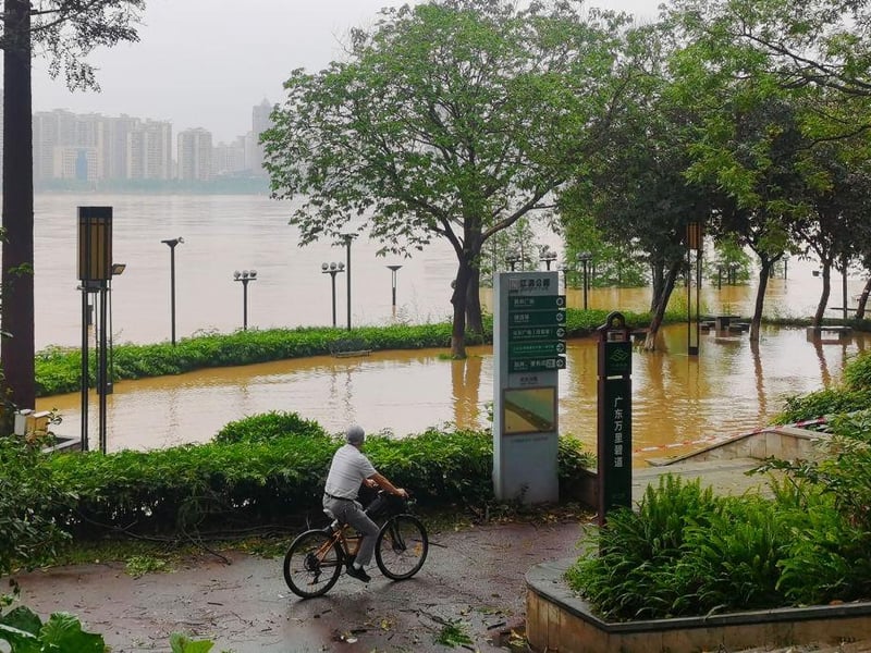 A cyclist peddles past flood waters near a river in Qingyuan City.