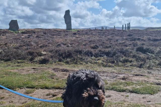 Exploring the Ring of Brodgar, Orkney. Pic: R Erskine